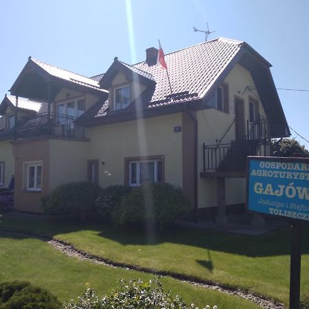 Agrogajowka Apartman Gniewino Kültér fotó
